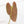 Load image into Gallery viewer, Anthurium papillilaminum (long x long bullet) (41A)
