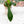 Load image into Gallery viewer, Philodendron 69686 (31A)

