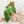 Load image into Gallery viewer, Philodendron grandipes (43A)
