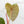 Load image into Gallery viewer, Philodendron billietiae x gloriosum (43A)
