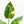 Load image into Gallery viewer, Philodendron &#39;Green Congo&#39; &quot;Nuclear&quot; variegated (44A)
