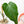 Load image into Gallery viewer, Philodendron grandipes (44A)

