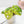 Load image into Gallery viewer, Monstera adansonii aurea variegated (44A)
