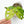 Load image into Gallery viewer, Monstera adansonii aurea variegated (44A)
