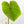 Load image into Gallery viewer, Philodendron ricardoi (34A) *large leaves*
