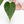 Load image into Gallery viewer, Anthurium &#39;Delta Force&#39; (A10)

