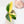 Load image into Gallery viewer, Monstera standleyana aurea variegated (45A)
