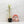 Load image into Gallery viewer, Epipremnum pinnatum &#39;Marble&#39; variegated (34B)
