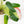 Load image into Gallery viewer, Philodendron &#39;Jose Buono&#39; (46B)
