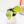 Load image into Gallery viewer, Scindapsus &#39;Jade Satin&#39; aurea variegated (46B)

