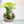 Load image into Gallery viewer, Alocasia zebrina aurea variegated (A12)
