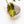 Load image into Gallery viewer, Philodendron micans aurea variegated (36C)
