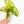 Load image into Gallery viewer, Monstera adansonii aurea variegated (37D)
