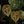 Load image into Gallery viewer, Anthurium clarinervium *Grower&#39;s choice*
