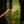 Load image into Gallery viewer, Philodendron billietiae variegated (A15)
