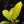 Load image into Gallery viewer, Philodendron &#39;Golden Goddess&#39; marble variegated (A15)
