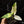 Load image into Gallery viewer, Alocasia lauterbachiana albo variegated (A15)
