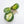 Load image into Gallery viewer, Hoya obovata inner variegated splash *Grower&#39;s Choice*
