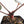 Anthurium Dark and  Handsome '9' x Minerva '20' by DocBlock® (wk26-F)