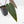 Anthurium Dark and Handsome '9' x Dark and Handsome '9' by DocBlock® (wk26-C)
