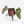 Anthurium Dark & Handsome '9' x Minerva '20'  by DocBlock® (wk19-W)