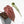 Anthurium Dark & Handsome '9' x Minerva '20'  by DocBlock® (wk19-W)