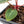 Anthurium Dark and Handsome '9' x Minerva '20' by DocBlock® (wk32-N)