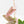 Dioscorea 'Pixel Pink' (wk18-C)