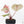 Anthurium Crystal Red '12' x Zara '14' by DocBlock® (wk21-L)
