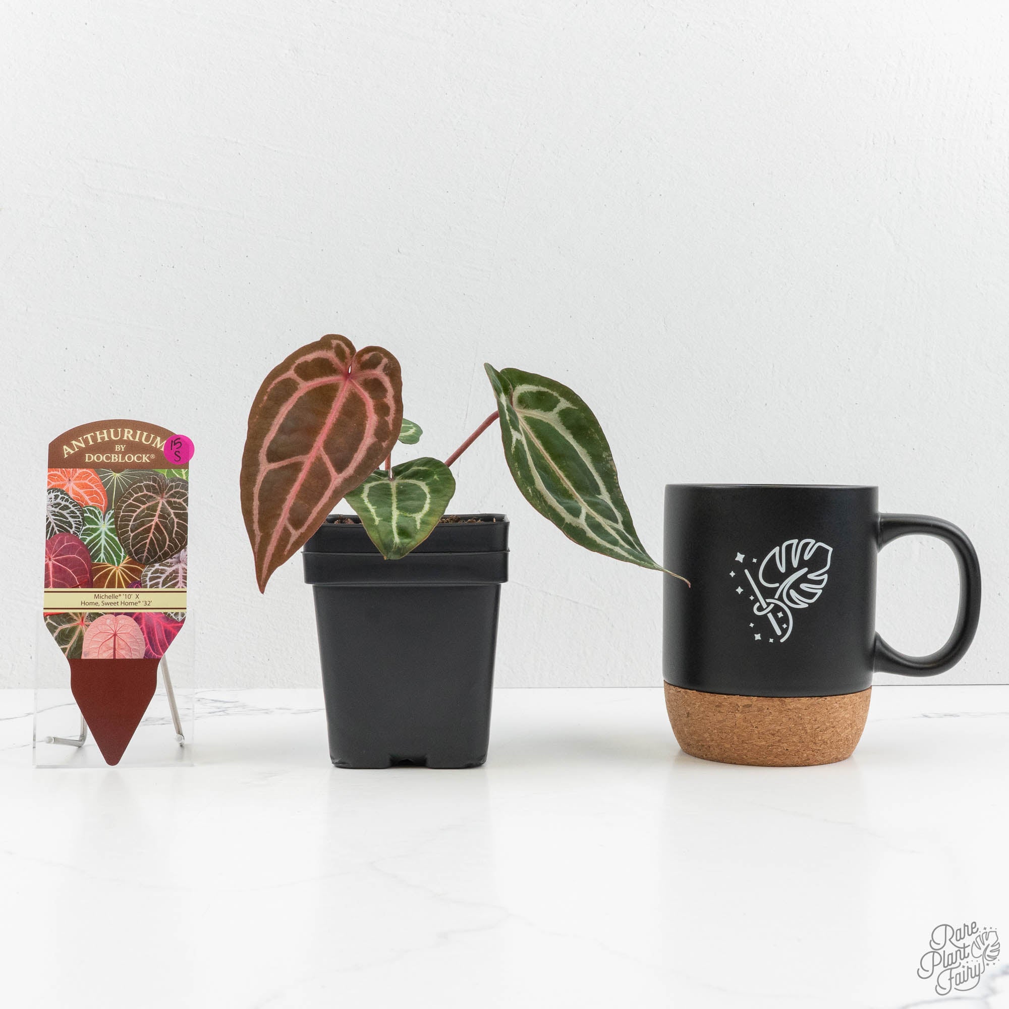 Anthurium Michelle '10' x Home, Sweet Home '32' by DocBlock® (wk15
