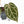 Anthurium Crystal Red '12' x Michelle '1' by DocBlock® (wk25-L)