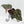 Anthurium Crystal Red '12' x Michelle '1' by DocBlock (wk40-L321)