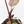 Anthurium Crystal Red '12' x Zara '14' by DocBlock® - With Offsets (wk28-K)