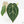 Anthurium DocBlock F2 x Carlablackiae by DocBlock® (wk18-UR) *Blister Variegated*