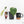 Anthurium DocBlock F2 x Carlablackiae by DocBlock® (wk23-K)