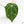 Anthurium DocBlock F2 x Carlablackiae by DocBlock® (wk23-K)