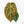 Anthurium DocBlock F2 x Carlablackiae by DocBlock® (wk25-UF) *Blister Variegated*