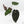 Anthurium Home, Sweet Home '32' x Dark & Handsome '9' by DocBlock® (wk17-R)