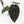 Anthurium Home, Sweet Home '32' x Dark & Handsome '9' by DocBlock® (wk17-R)