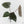 Anthurium 'Luxurians' x ('Zara' x 'Michelle') by DocBlock® (wk17-N)