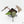 Anthurium Michelle '10' x Home, Sweet Home '32' by DocBlock® (wk17-Q)