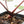 Anthurium Michelle '10' x Home, Sweet Home '32' by DocBlock® (wk17-Q)