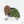 Anthurium Michelle '10' x Home, Sweet Home '32' by DocBlock® (wk17-W)