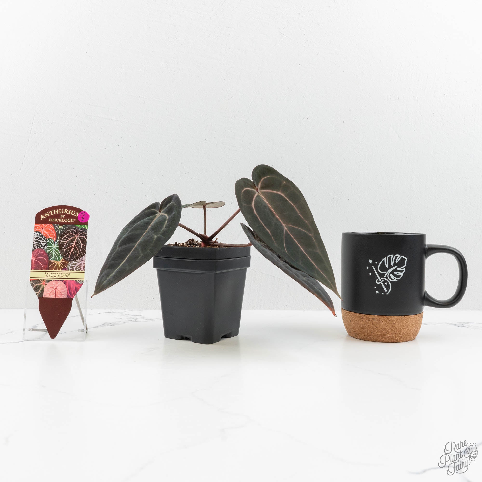 Anthurium Red Velvet Cake '24' x Red Velvet Cake '24' by DocBlock
