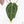 Anthurium Red Velvet Cake '24' x Zara '29' by DocBlock® (wk17-A)
