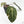 Variegated Anthurium Zara '14' x Zara '14' by DocBlock® (wk17-UT)
