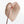 Variegated Anthurium  Zara '29' x  Zara '3' by DocBlock® (wk32-UJ)