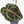 Anthurium Zara '33' x Zara '29' by DocBlock® (wk16-M)