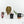 Anthurium DocBlock F2 x Carlablackiae  by DocBlock® (wk19-F)