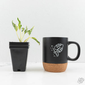 Epipremnum Teruno 'Love Song' (wk16-C)